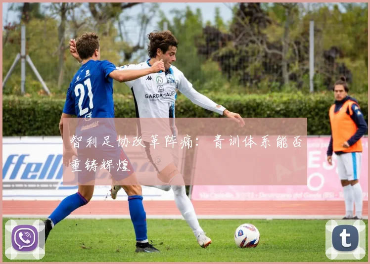 智利足协改革阵痛：青训体系能否重铸辉煌