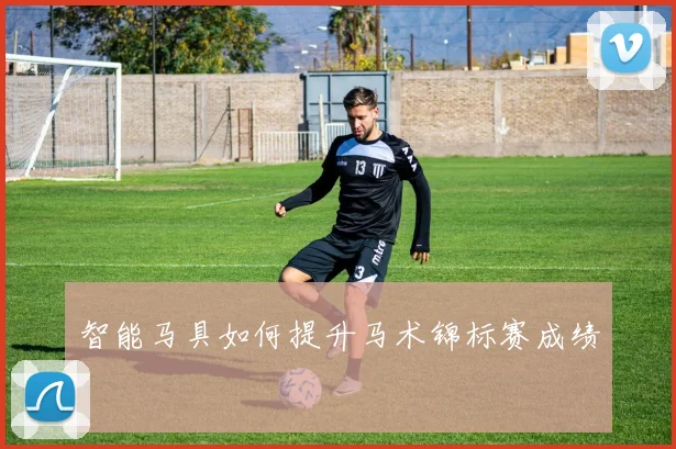 智能马具如何提升马术锦标赛成绩