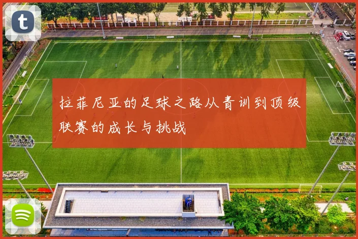 拉菲尼亚的足球之路从青训到顶级联赛的成长与挑战