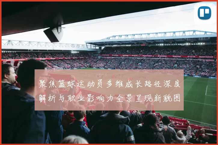 聚焦篮球运动员多维成长路径深度解析与职业影响力全景呈现新貌图